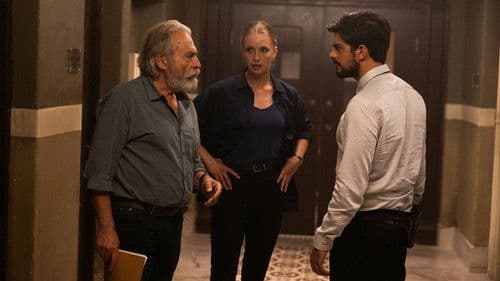 The Turkish Detective Bild 4