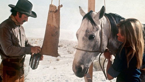 700 Meilen westwärts Bild 6