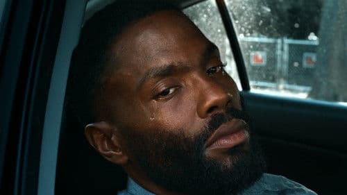 Equal Standard Bild 4