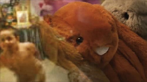 Reminiscence: A Life Through the Lens Bild 2