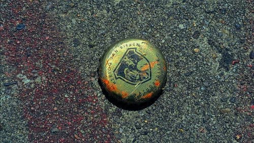 i love bottle caps Bild 4