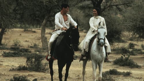 Palast der Winde Bild 1