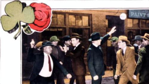 The Shamrock and the Rose Bild 1