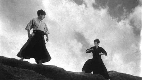 電光空手打ち Bild 1