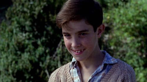 Geheimnisse des Herzens Bild 2