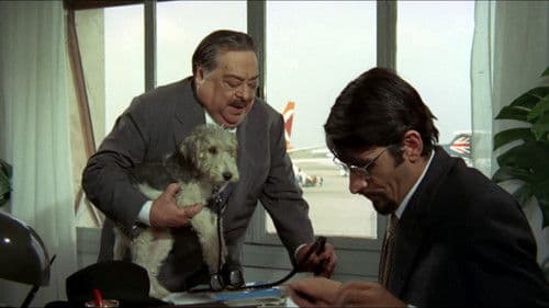 Grüße von der Cosa Nostra Bild 4