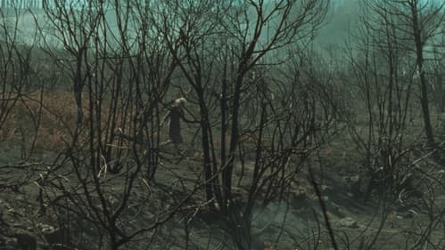 Fire Will Come Bild 2