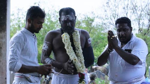 சிக்கலான குடும்பத்தின் உறுப்பினர்கள் Bild 2