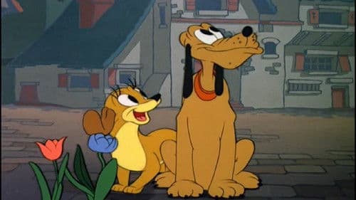 Auf Holländisch Bild 1