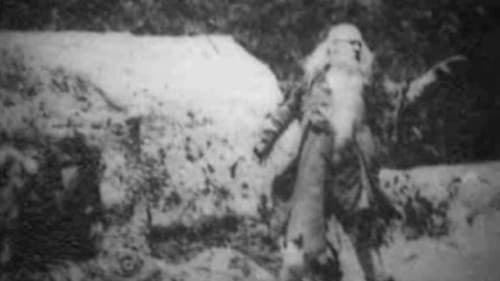 Awakening of Rip Bild 1