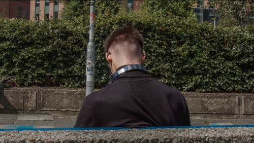 Fractured Bonds Bild 3