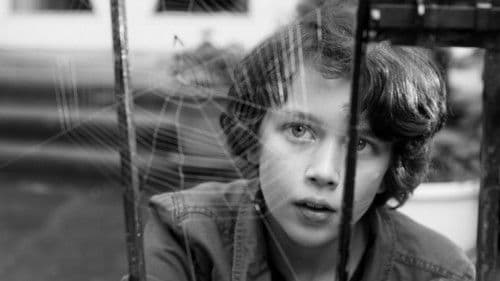 Im Spinnwebhaus Bild 1