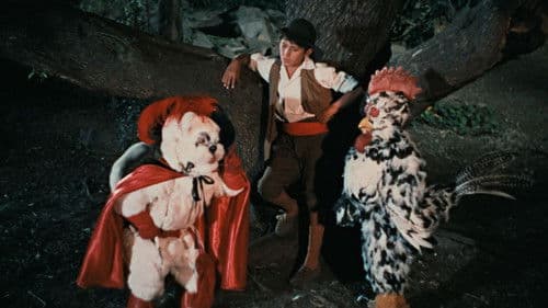 El gato con botas Bild 4