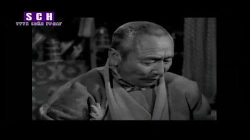 Хүргэн хүү Bild 3