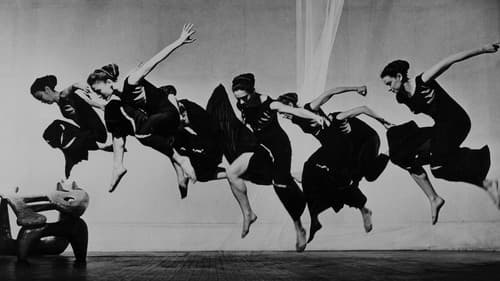 Night Journey Bild 1