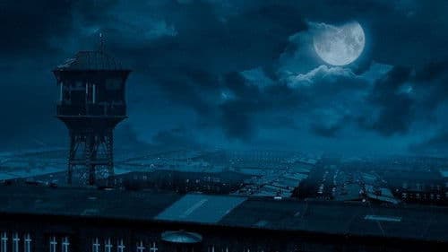 Lament Paranoika Bild 3