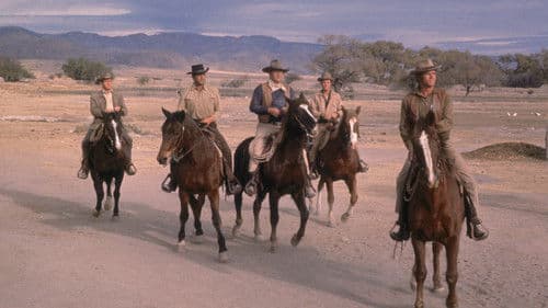 Die vier Söhne der Katie Elder Bild 5