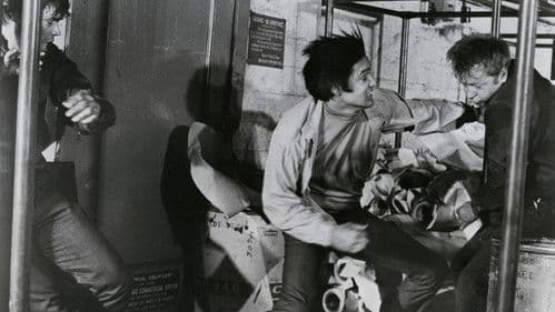 Liebling, lass das Lügen Bild 3