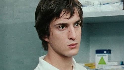 Piovono mucche Bild 5