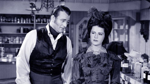 Der Draufgänger von Boston Bild 2