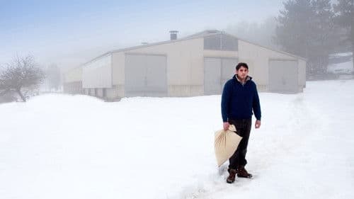 Die Verschwundene Bild 2