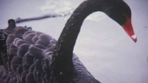 Green Thoughts Bild 1