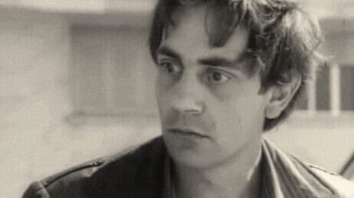 Como Vai, Vai Bem? Bild 1