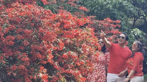 Virginia Water Lake Bild 1