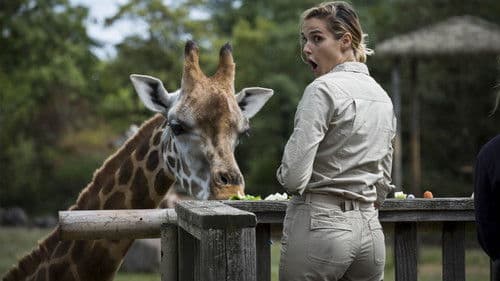 Les Touristes Bild 1