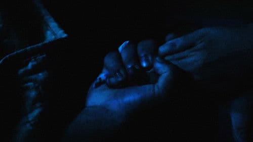 En lo oscuro no se ve Bild 1