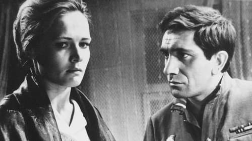 Журавушка Bild 1