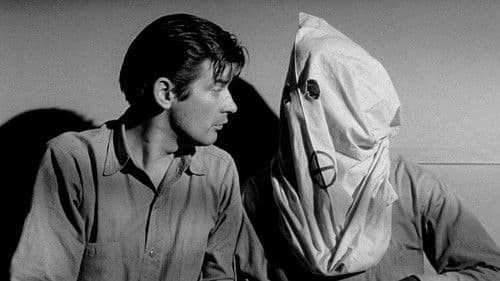 Schock-Korridor Bild 4