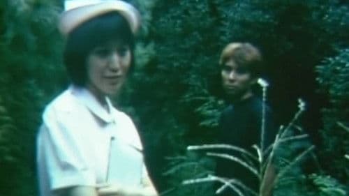 ミ・ド・リ Bild 1