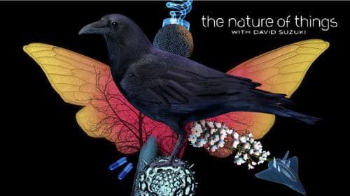 The Nature of Things Bild 4