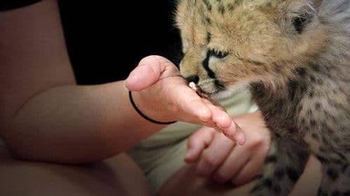 Zoogeflüster Bild 4