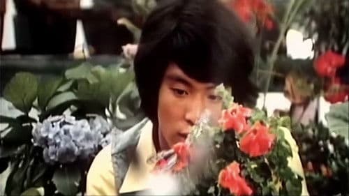 性処女　ひと夏の経験 Bild 3