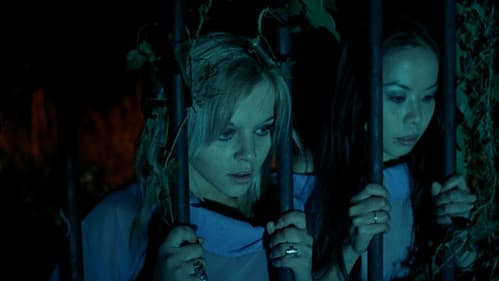 Sexual-Terror der entfesselten Vampire Bild 4