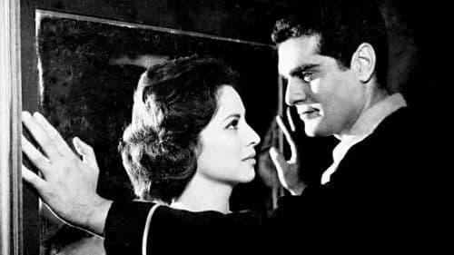 نهر الحب Bild 1