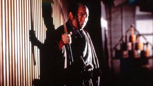 必殺！ 主水死す Bild 1