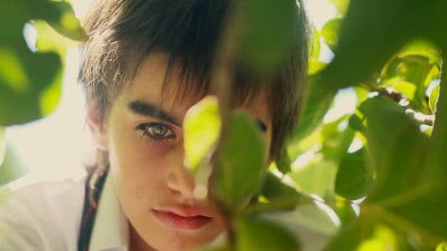 Vuelve - Komm zurück! Bild 8