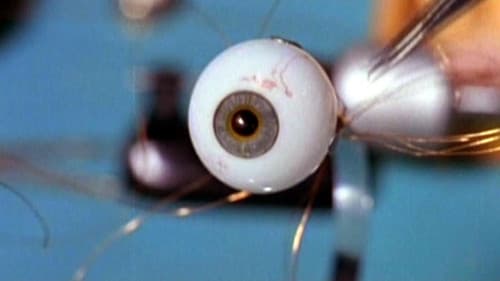 Das verräterische Auge Bild 1