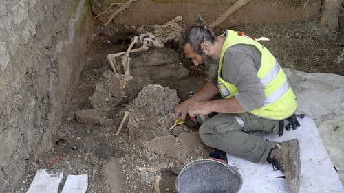 Pompeji: Geschichte einer Katastrophe Bild 3