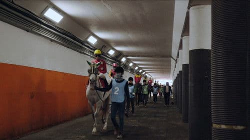 웃는 기수 Bild 8