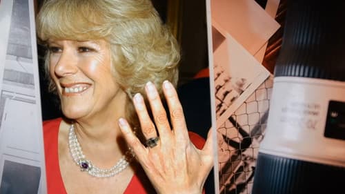 Queen Camilla: the Wicked Stepmother? Bild 1