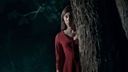 ปรากฏการณ์ Bild 1