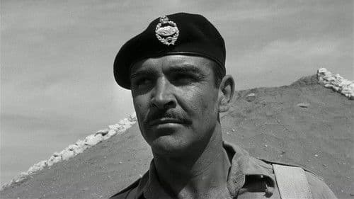 Ein Haufen toller Hunde Bild 2