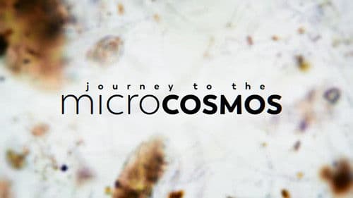 Journey to the Microcosmos Bild 1
