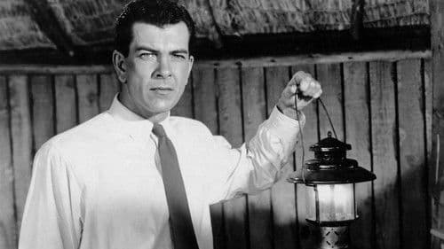 I'll Give My Life Bild 3