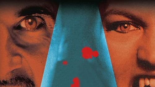 Embrace the Darkness III Bild 2