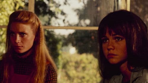 Maybe I'll Come Home in the Spring Bild 7